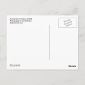 Venster gewapend gesteente ©2008 briefkaart (Achterkant)