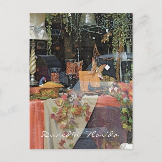 Venster Gift Shop - Dunedin Briefkaart (Voorkant)