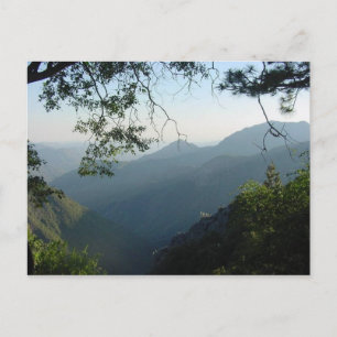 Venster II van de natuur Briefkaart