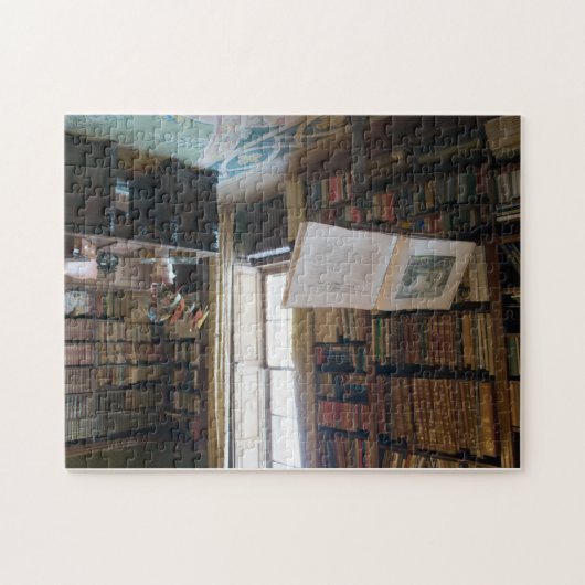 Venster in de bibliotheek legpuzzel (Horizontaal)