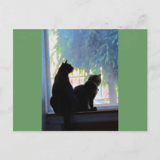 Venster Katten verzamelen Briefkaart (Voorkant)