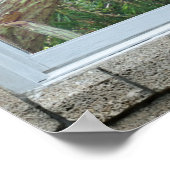 Venster lijst uitzicht Hawk vogelprint Poster (Hoek)