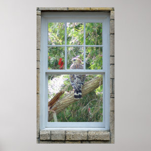 Venster lijst uitzicht Hawk vogelprint Poster