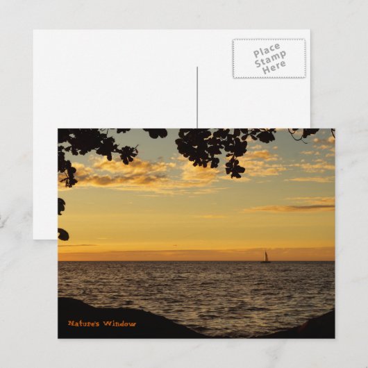 Venster natuur briefkaart (Voorkant / Achterkant)