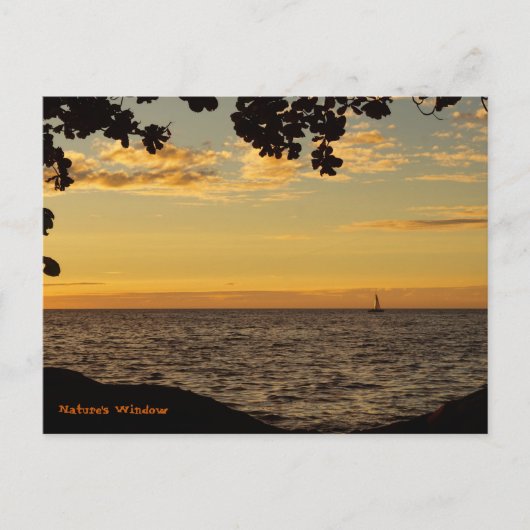Venster natuur briefkaart (Voorkant)