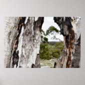 Venster natuur poster (Voorkant)