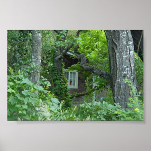 Venster natuur poster