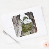 Venster natuur vierkante sticker (Envelop)