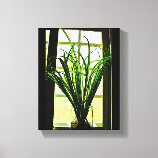 Venster Plant Canvas Afdruk (Voorkant)