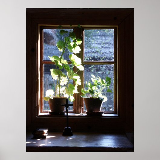 Venster Poster (Voorkant)