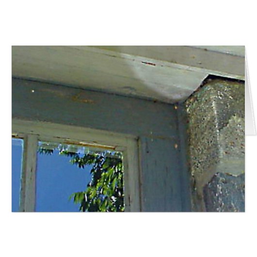 Venster-reflectiekaart (Voorkant Horizontaal)