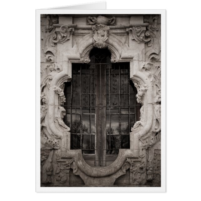 Venster roos (Voorkant)