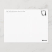 Venster Springvale Briefkaart (Achterkant)