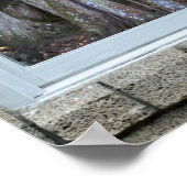 Venster uitzicht Banyan tree Starburst Print (Hoek)