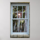 Venster uitzicht Banyan tree Starburst Print (Voorkant)