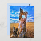 Venster van Briefkaart Tijd (Voorkant / Achterkant)