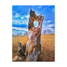 Venster van Briefkaart Tijd