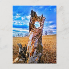 Venster van Briefkaart Tijd