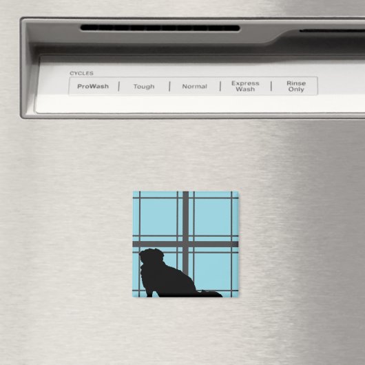 Venster van Nicky Magneet (Insitu (Vaatwasser))