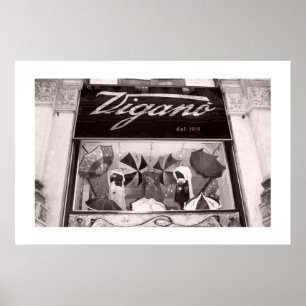 Venster Winkelvoorraad Poster