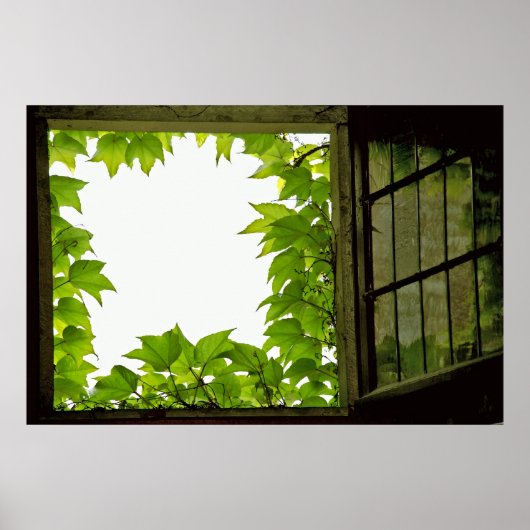Vensterafdruk Poster (Voorkant)