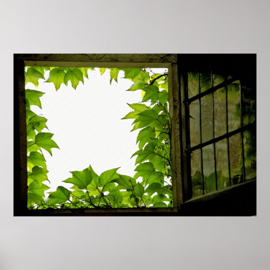 Vensterafdruk Poster (Voorkant)
