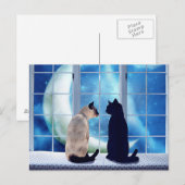 Vensterkatten Briefkaart (Voorkant / Achterkant)