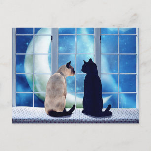 Vensterkatten Briefkaart