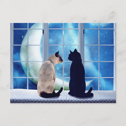 Vensterkatten Briefkaart (Voorkant)