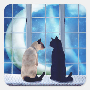 Vensterkatten Vierkante Sticker