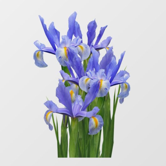 Vensteroverdrukplaatje 2 - Voorkant Cling - kies g Raamsticker (Vel)