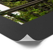 Vensters van de Groene Architectuur Puerto Rico va Poster (Hoek)