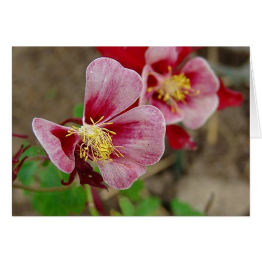  ventilator (Voorkant Horizontaal)