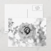  ventilator briefkaart (Voorkant / Achterkant)