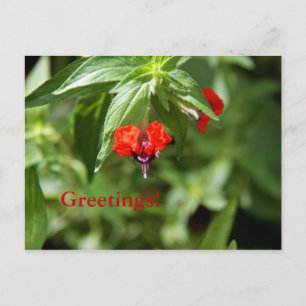 Ventilator Briefkaart