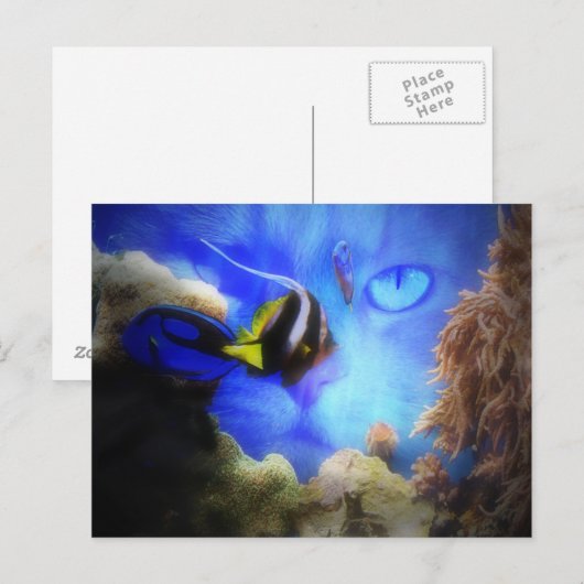 Ventilator en Briefkaart van vis (Voorkant / Achterkant)