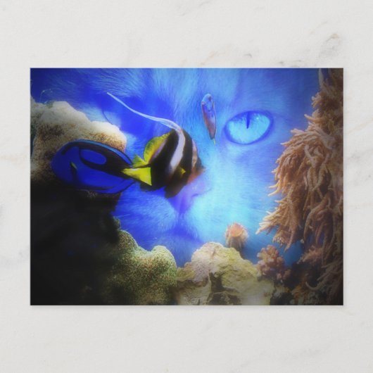 Ventilator en Briefkaart van vis (Voorkant)