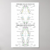 Ventilator en tandheelkundige formules poster (Voorkant)