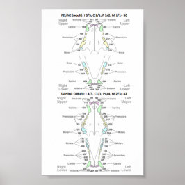 Ventilator en tandheelkundige formules poster