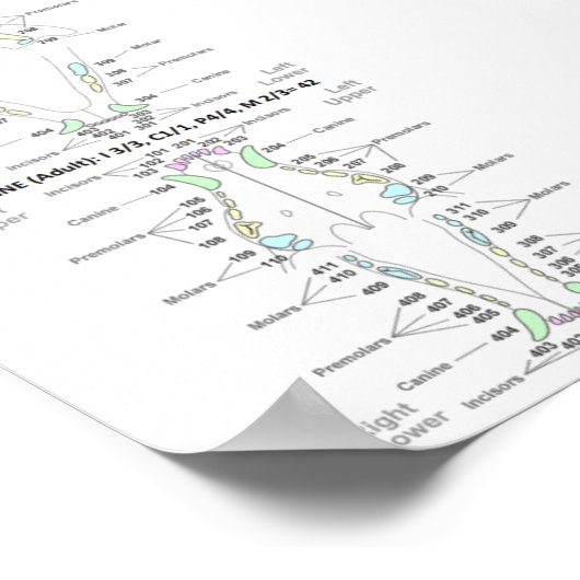 Ventilator en tandheelkundige formules poster (Hoek)
