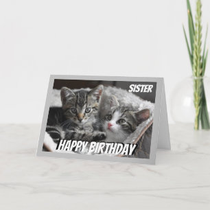 Ventilator hart zuster Birthday Cat Animal Kaart