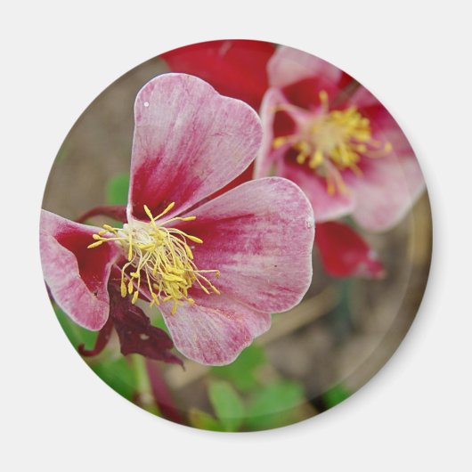  ventilator magneet (Voorkant)