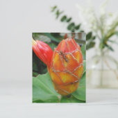 Ventilator met Ant Briefkaart (Staand voorkant)