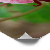  ventilator poster (Hoek)