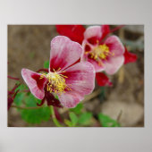  ventilator poster (Voorkant)