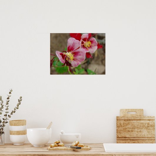 ventilator poster (Keuken)