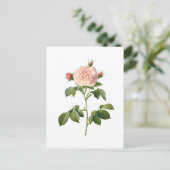 ventilator, roze roze roze roze door het Briefkaa Briefkaart (Staand voorkant)