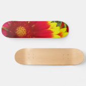 ventilator skateboard (Horizontaal)