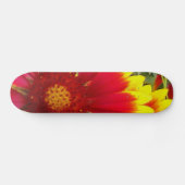 ventilator skateboard (Horizontaal)