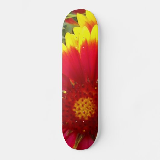 ventilator skateboard (Voorkant)